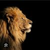 mr_kadir6