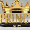 prince sow❤️‍🔥❤️‍🩹🤴🏻