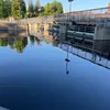 linnutlentaa22