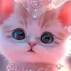 rabiaa.sellam