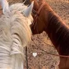 mnytheli6
