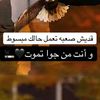user5146182673769