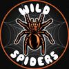 my_wild_spiders