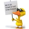 valterbuccioni