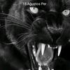 ali_craza1