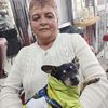 alcirarocha0