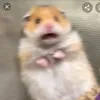rockinsimba