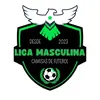 Liga Masculina