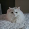 mimi72024