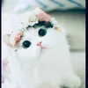 hng.nhi55