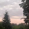 regiluvs