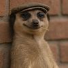 yawcousins