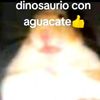 sida_de_unicornios123