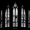 dark._castle_.team