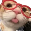 cuteso1thegioi013