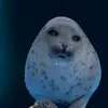 catkittycatcatktycat
