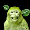 imasillygoofyguy