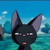 ___cat___._
