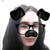 mihaela_a15