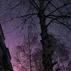 nekto_lll1