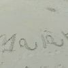 loka04150