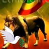 user85801963672407