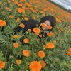 phyolaylay63
