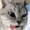 bayuuahmad222