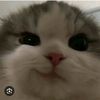 nyapokoeeee