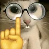 mrcat049838