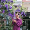 minh.thnh885