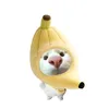 kihiro.1