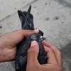 tar.aranb