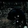 morsmoke31