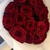 lolo_l229