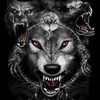 pazuzu372