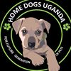 homedogsuganda3