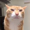 beaker9_yt