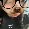 jina_841