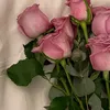 user4212229680471
