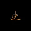 .fz_q2