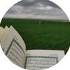 alshmary568