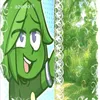 sstramwberry_