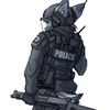 shadow.production