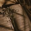 booktokgirl16