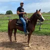 fernandes_da_roca