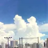 _343697