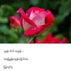 ma.yin.yin.myint