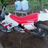 unlin51