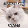 mohd..rn5